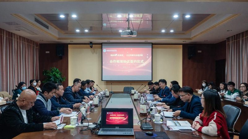 三维动画建模教学课程：揭秘入门与进阶之路